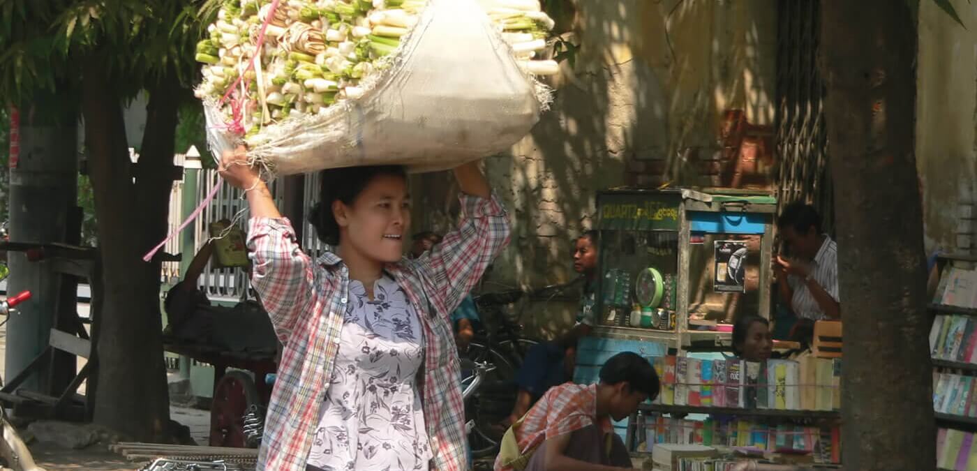 Cannes à sucre récoltés à la main - Naga Rum