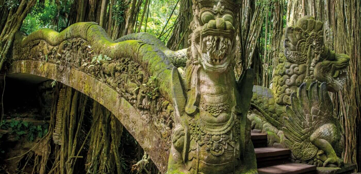 Pont antique dans la jungle indonésienne inversé - Naga Rum